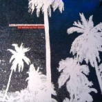 Hans Nieswandt & Gabriel Ananda – Ich Vermiss Die Zeit (Bleib) [LADO 2168-0]