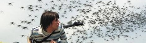 Oliver Koletzki - Der Mückenschwarm [COR 12 014]