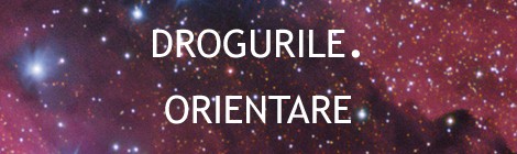 Drogurile. Mic Ghid