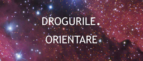 Drogurile. Mic Ghid